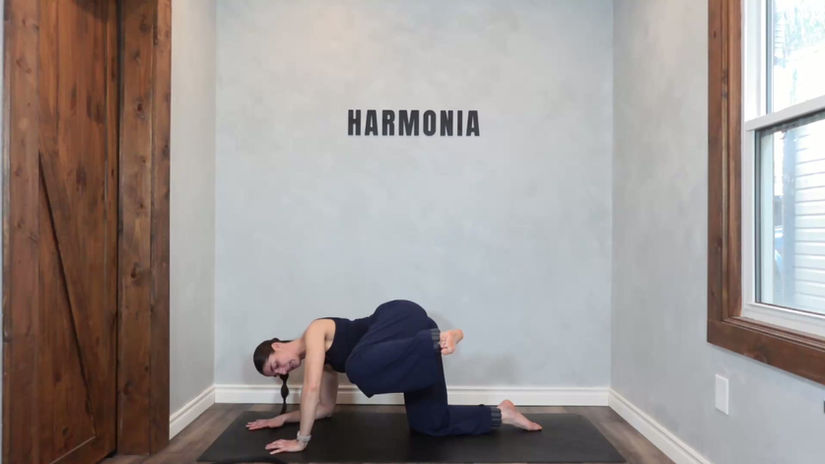 14 DAY CHALLENGE | DAY 12 | 20 MIN Inner Thigh and Glutes Mat Pilates